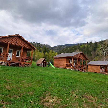 Cabane Areama Neagra Izvoru Mureşului Buitenkant foto