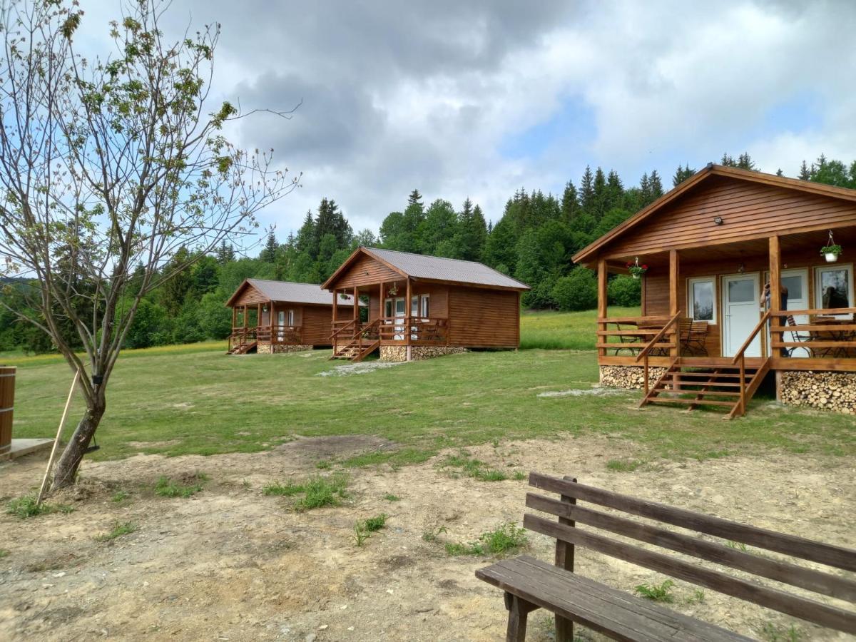 Cabane Areama Neagra Izvoru Mureşului Buitenkant foto