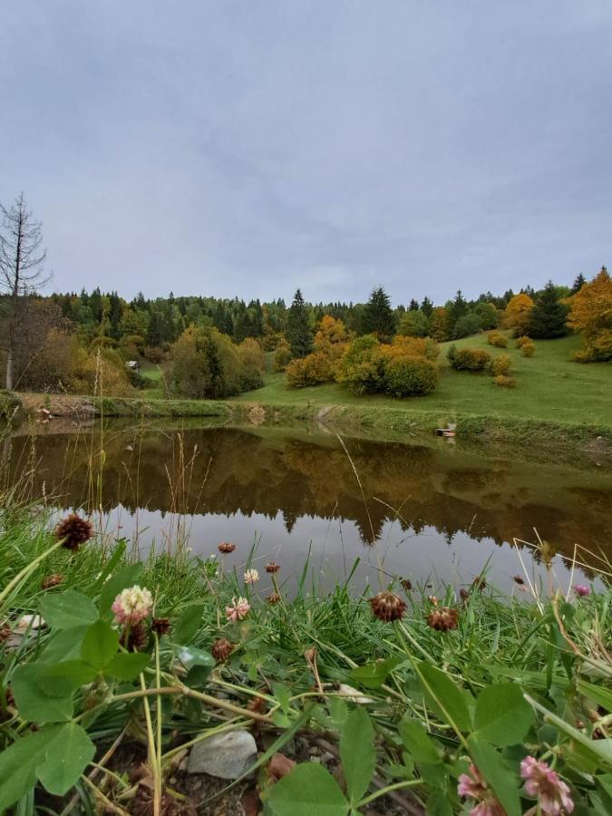 Cabane Areama Neagra Izvoru Mureşului Buitenkant foto