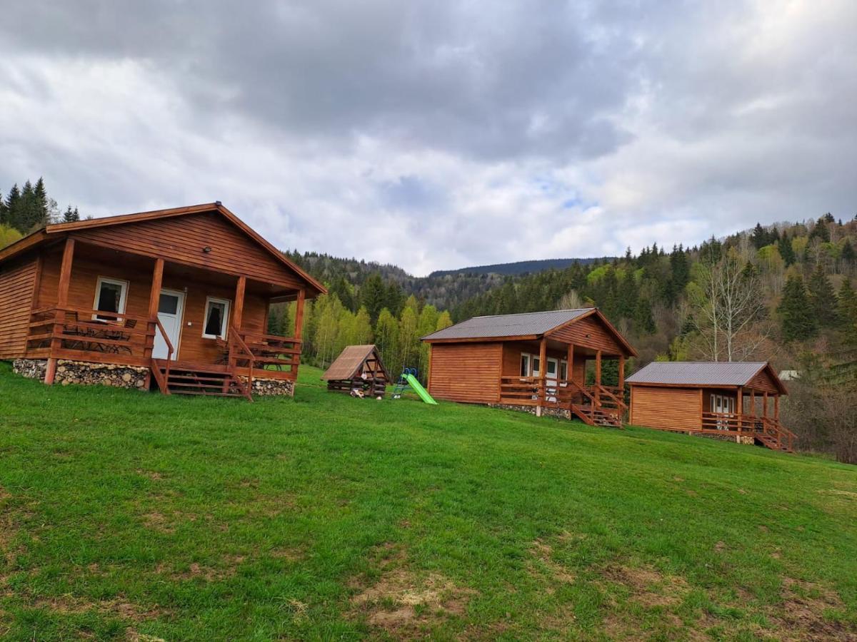 Cabane Areama Neagra Izvoru Mureşului Buitenkant foto