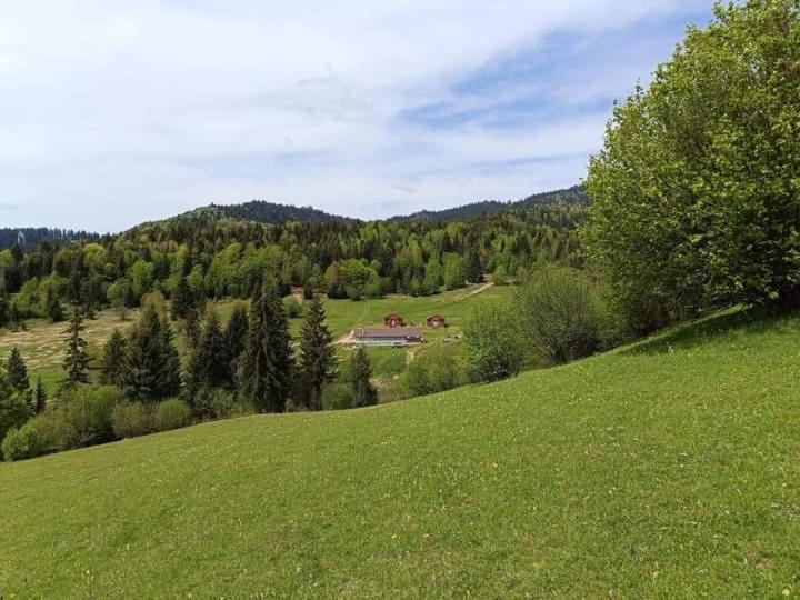 Cabane Areama Neagra Izvoru Mureşului Buitenkant foto