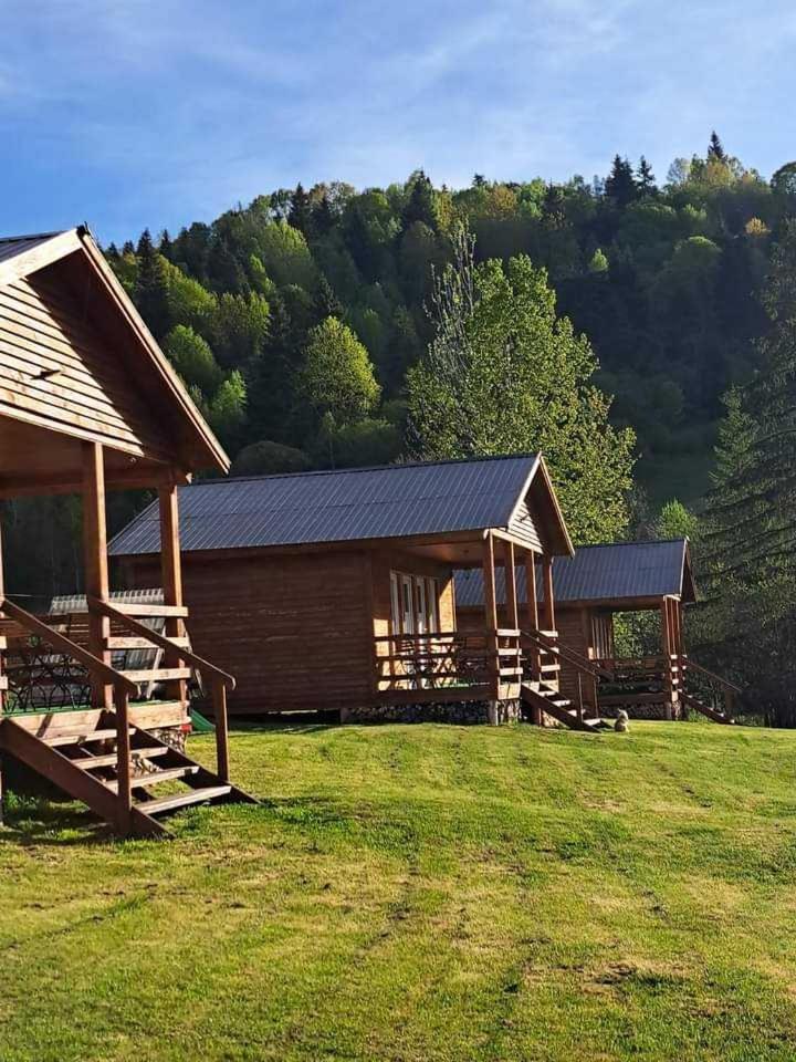 Cabane Areama Neagra Izvoru Mureşului Buitenkant foto